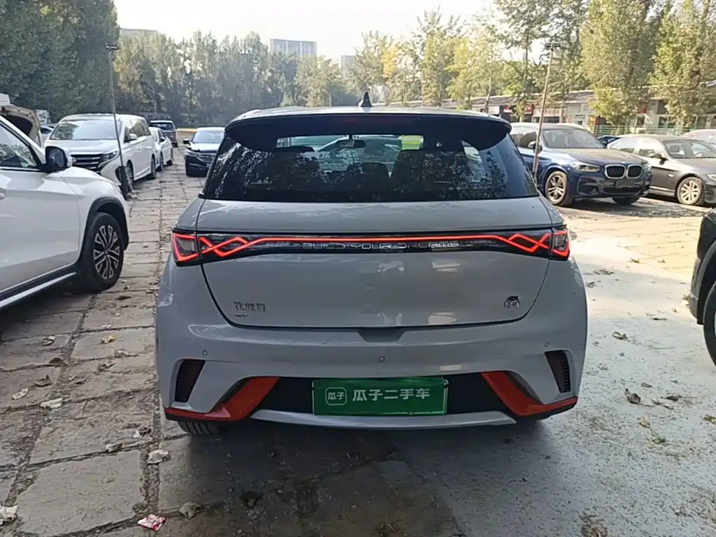 BYD Dolphin 2021 2021 405km Freedom Edition
