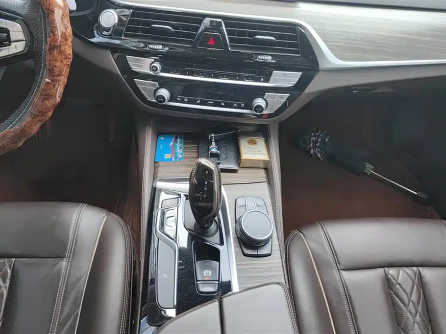 BMW 5 Series 2019 530Li Leading Luxury Package фото 16