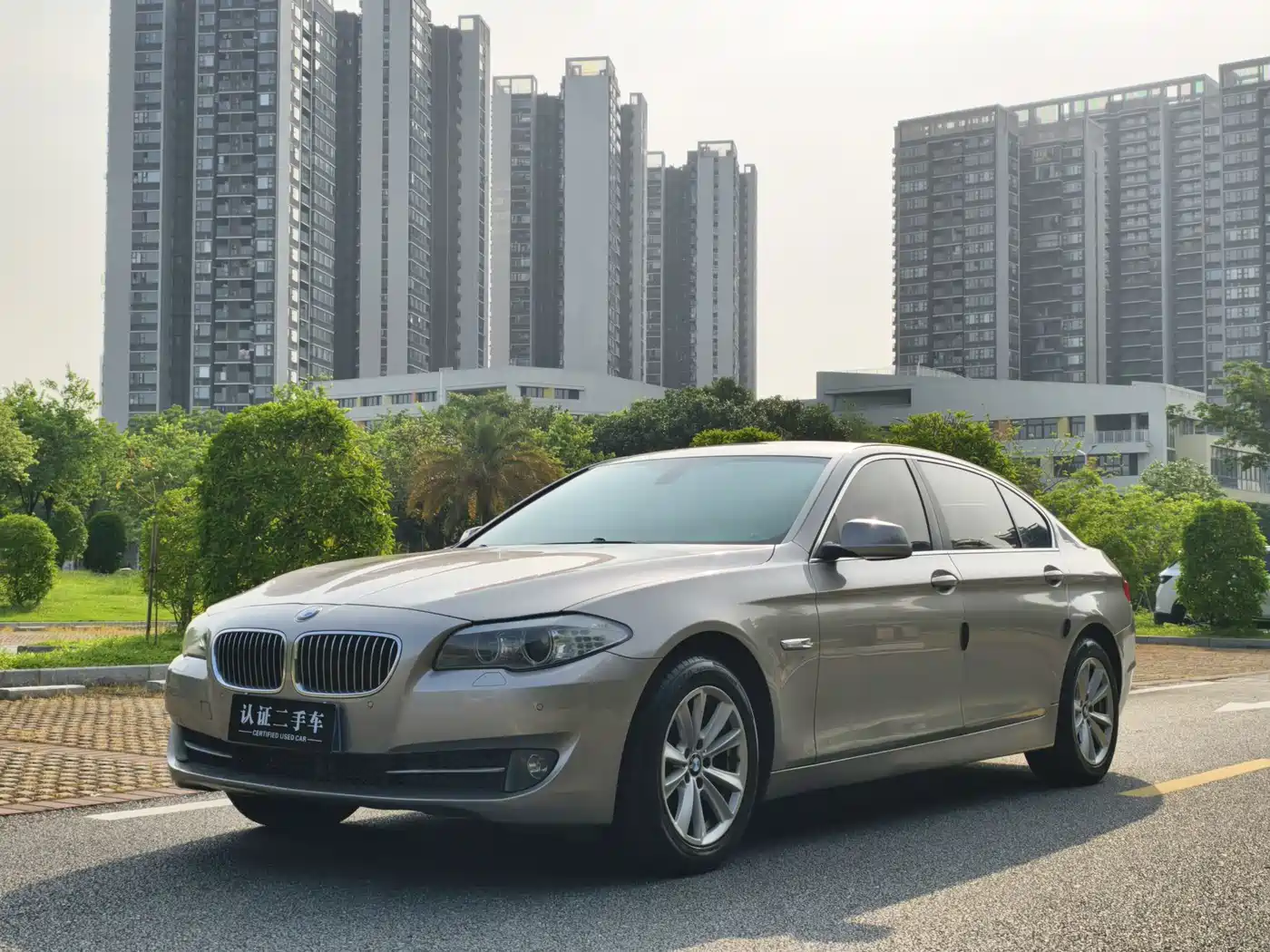 BMW 5 Series 2013 525Li Leadership фото 2