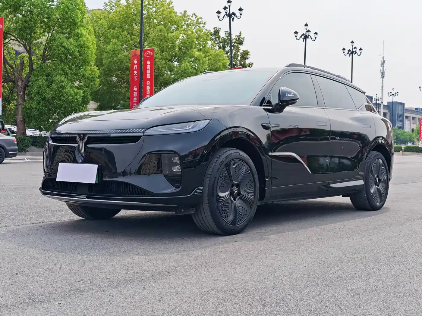Voyah Auto Voyah Zhiyin 2024 Long Range Smart Edition