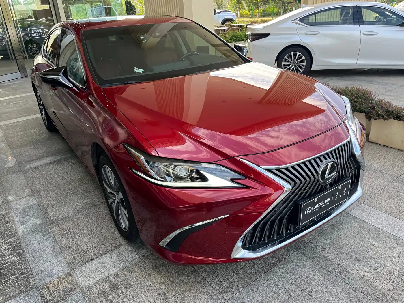 Lexus ES 2020 200 Luxury фото 3