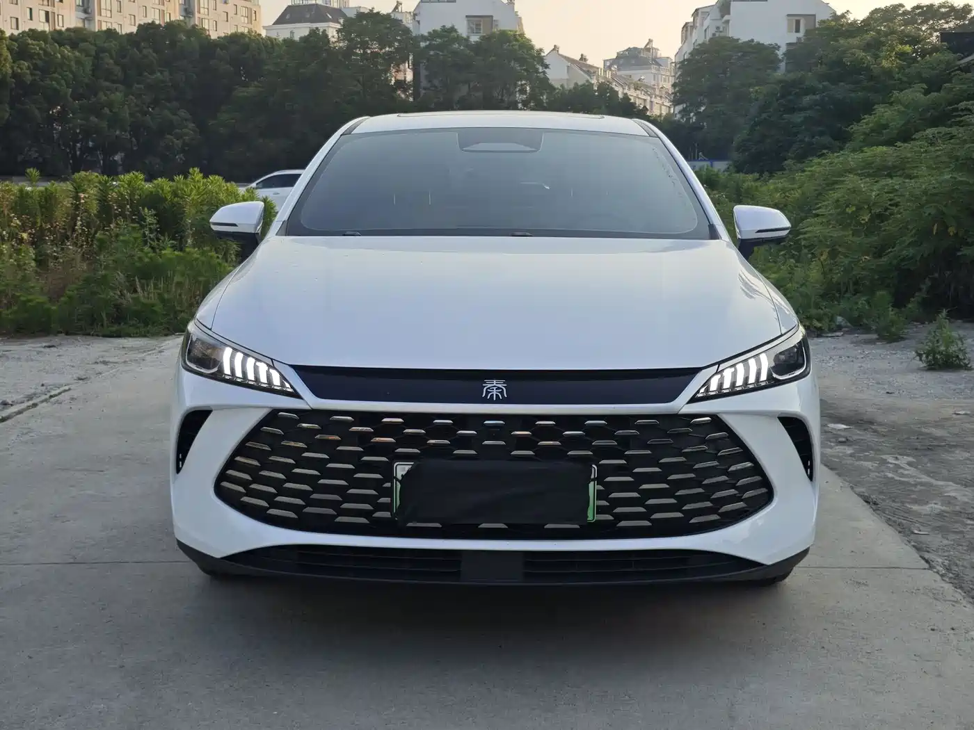 BYD Qin PLUS 2025 DM-i Smart Drive Edition 120KM Surpassing Type фото 2
