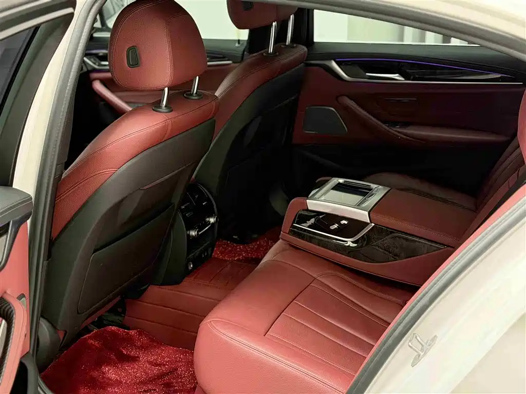 BMW 5 Series 2020 530Li Exclusive M Sport Package фото 9