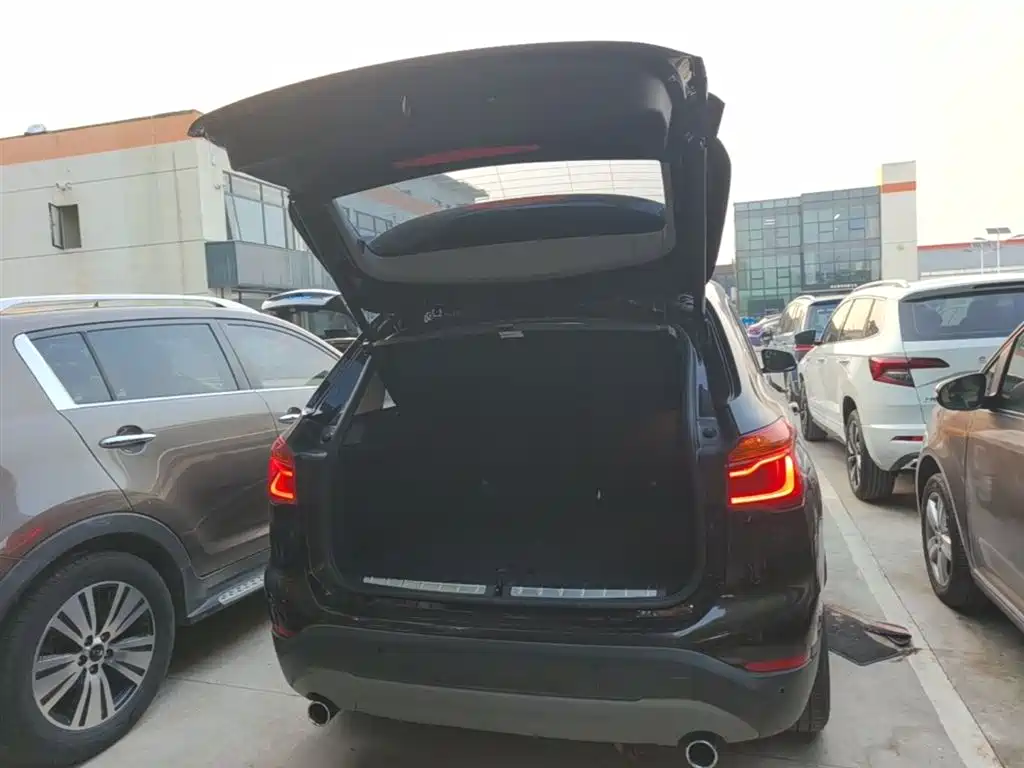 BMW X1 2018 sDrive20Li Leading Model фото 19