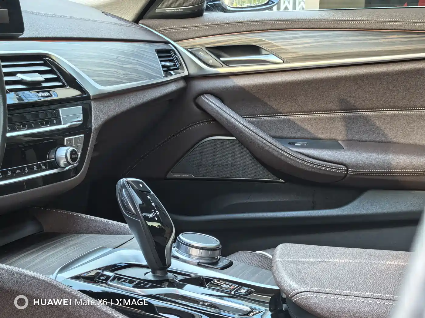 BMW 5 Series 2021 530Li Leading Luxury Package фото 16