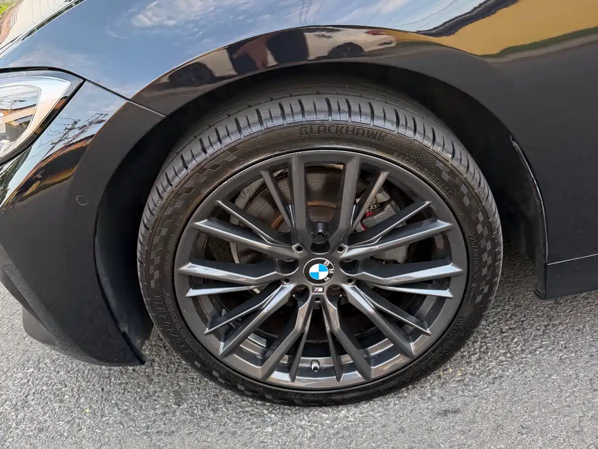 BMW 3 Series 2021 325Li M Sport Night Edition фото 11