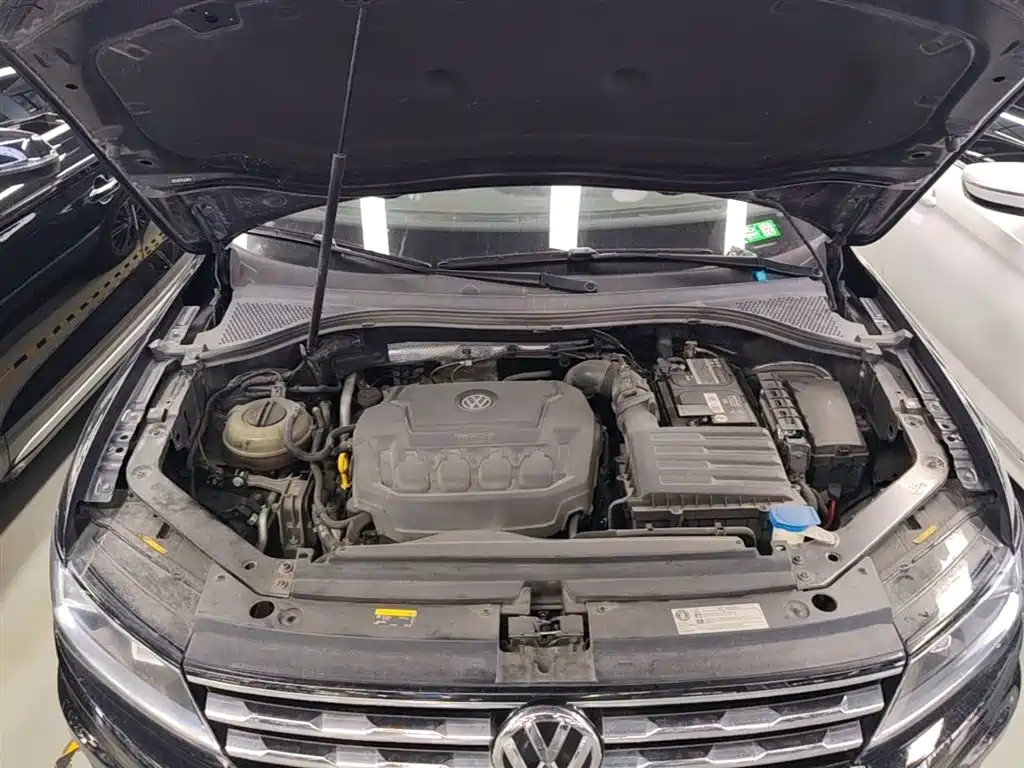 Volkswagen Tiguan L 2020 330TSI Auto 2WD Panorama Comfort China VI фото 20
