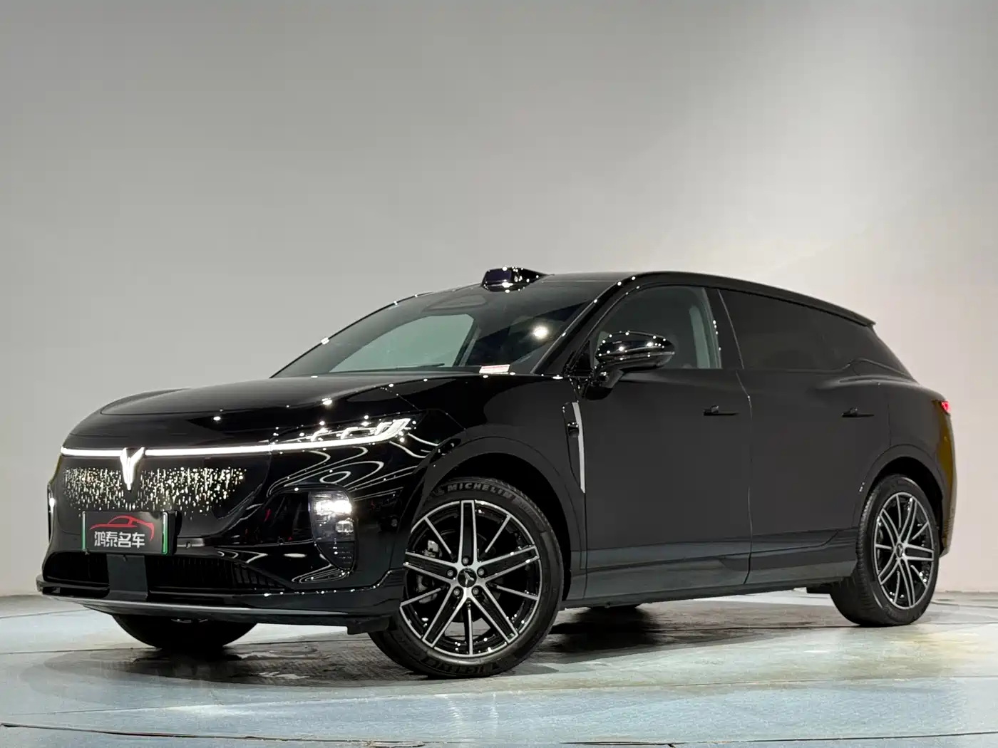Voyah Auto Voyah Zhiyin 2025 Base