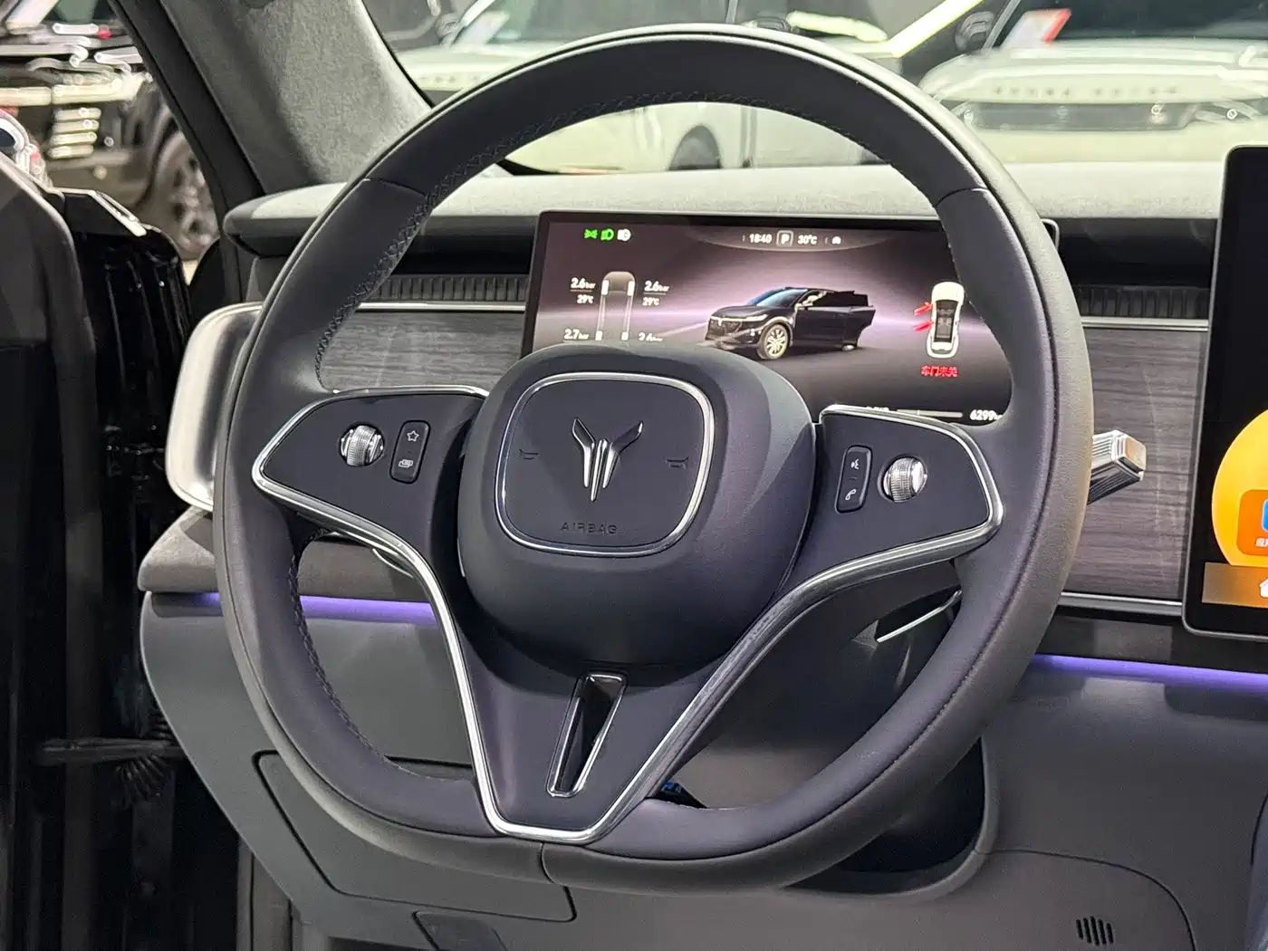 Voyah Auto Voyah Zhiyin 2025 Base фото 14