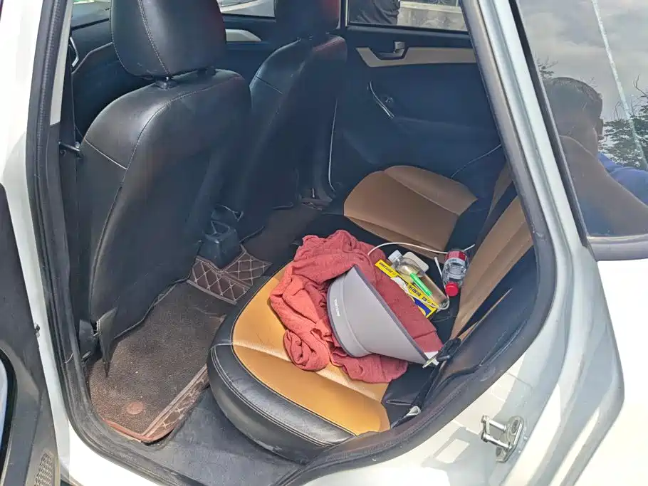 Nezha Auto Nezha N01 2019 2019 380i
