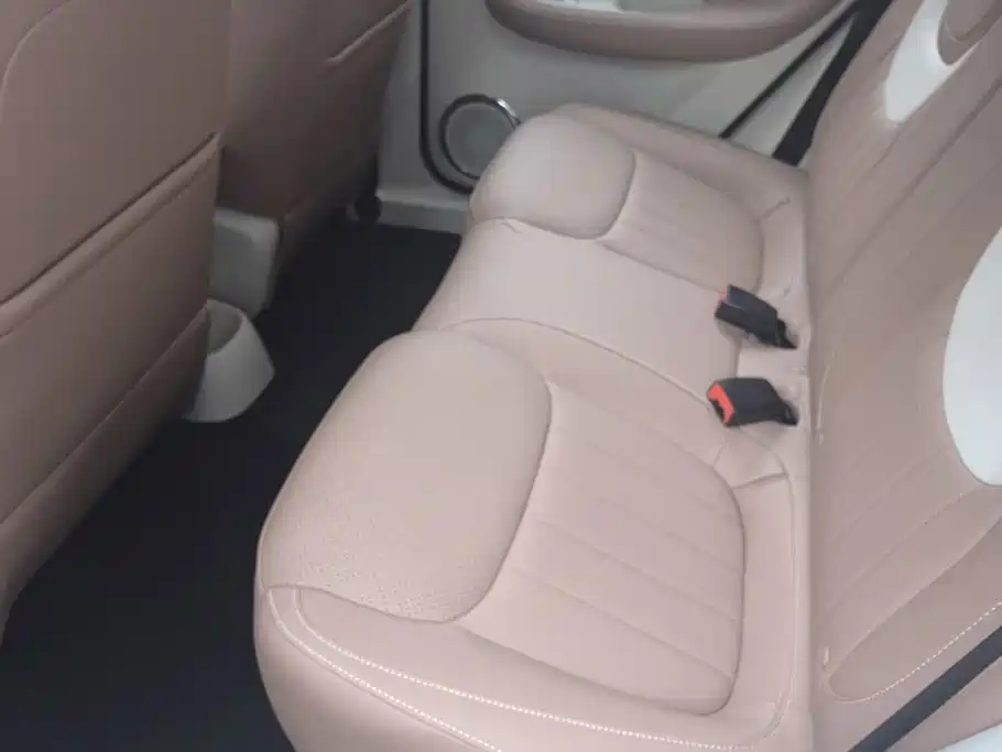 Wuling Motors Wuling Bingo 2026 2025 Model 333km Joy Edition