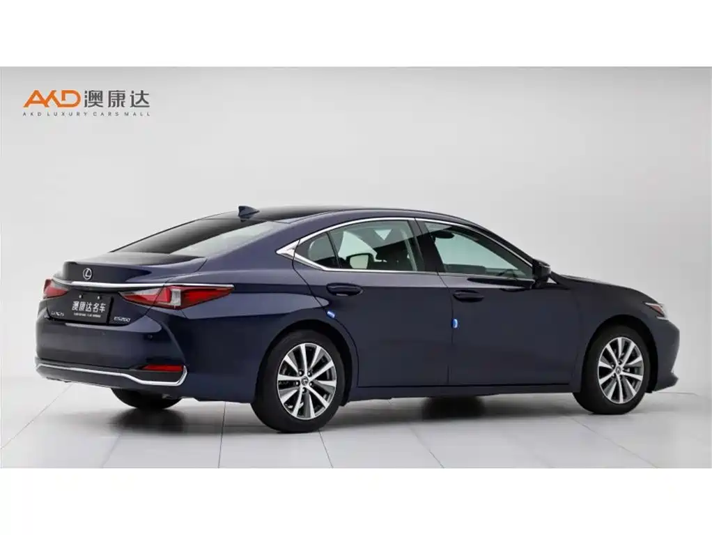 Lexus ES 2020 Model 260 Excellence Edition фото 3