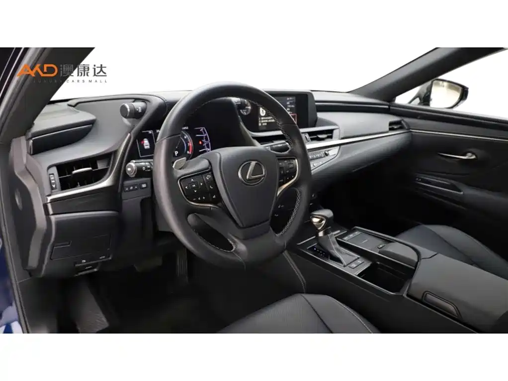 Lexus ES 2020 Model 260 Excellence Edition фото 6