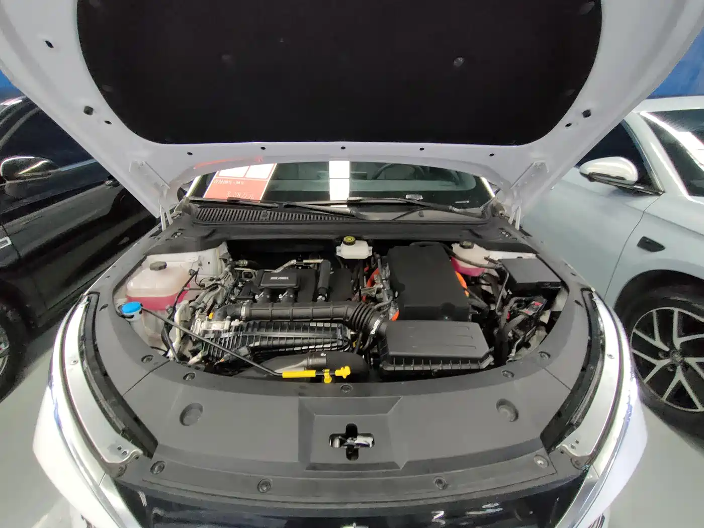 BYD Qin L 2024 DM-i 120KM Superior Edition фото 21
