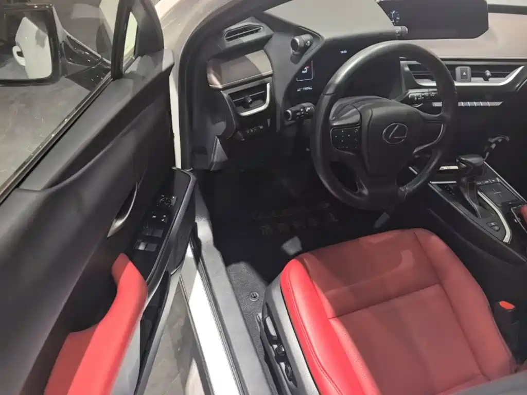 Фото 16 - Lexus UX