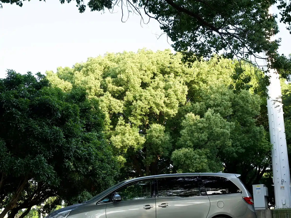 Buick GL8 2011 3.0L XT Luxury Business Flagship фото 7