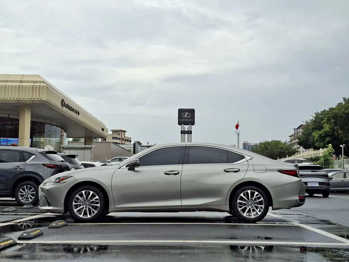 Lexus ES 2023 200 Excellence Edition фото 3