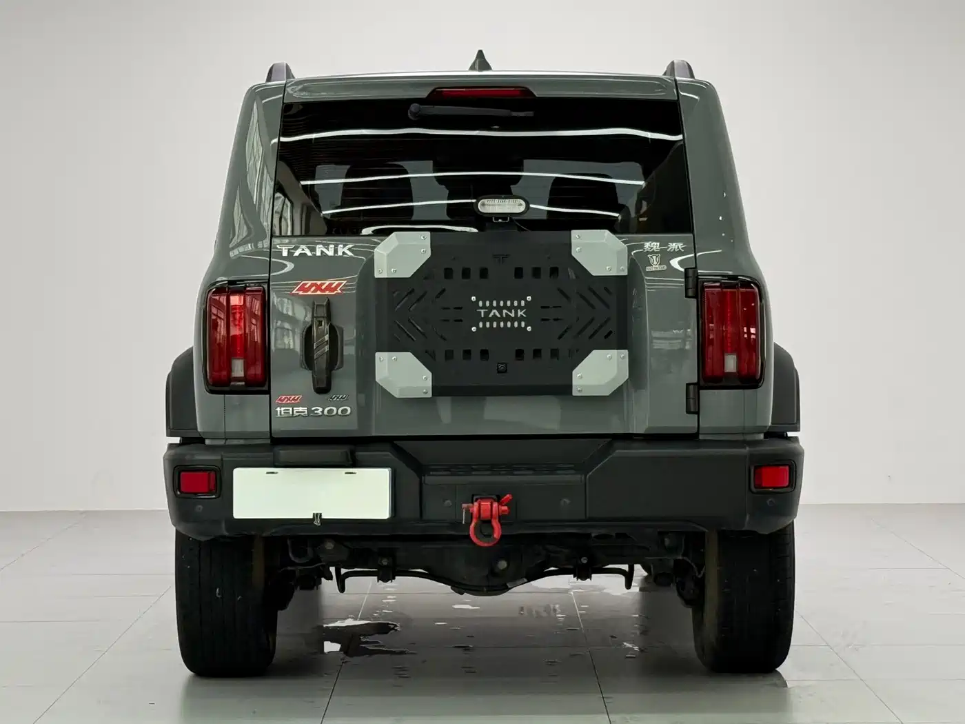 Tank 300 2021 Off-road Version 2.0T Conqueror фото 7