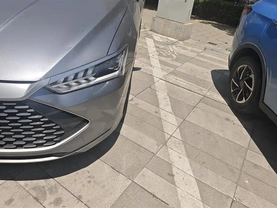 BYD Qin PLUS 2023 Champion Edition DM-i 55KM Leading фото 5