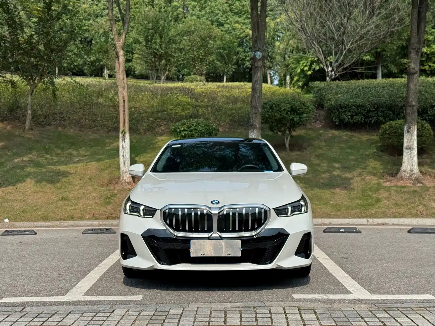 BMW BMW 5 Series 2025 530Li Premium M Sport Package