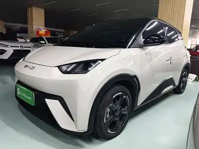 BYD Seagull