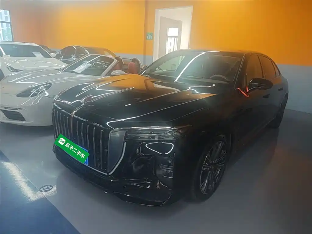 Hongqi H9 2024 2.0T Qi Enjoy Private Fashion Edition фото 2