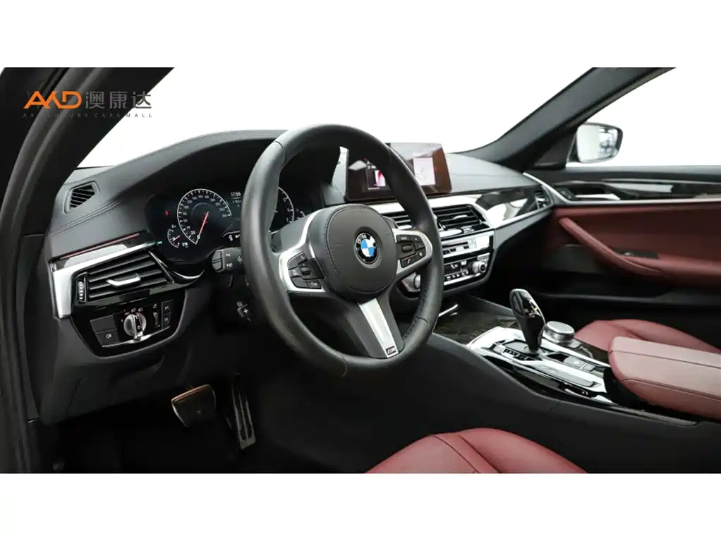 BMW 5 Series 2019 Facelift 530Li Premium M Sport Package фото 6