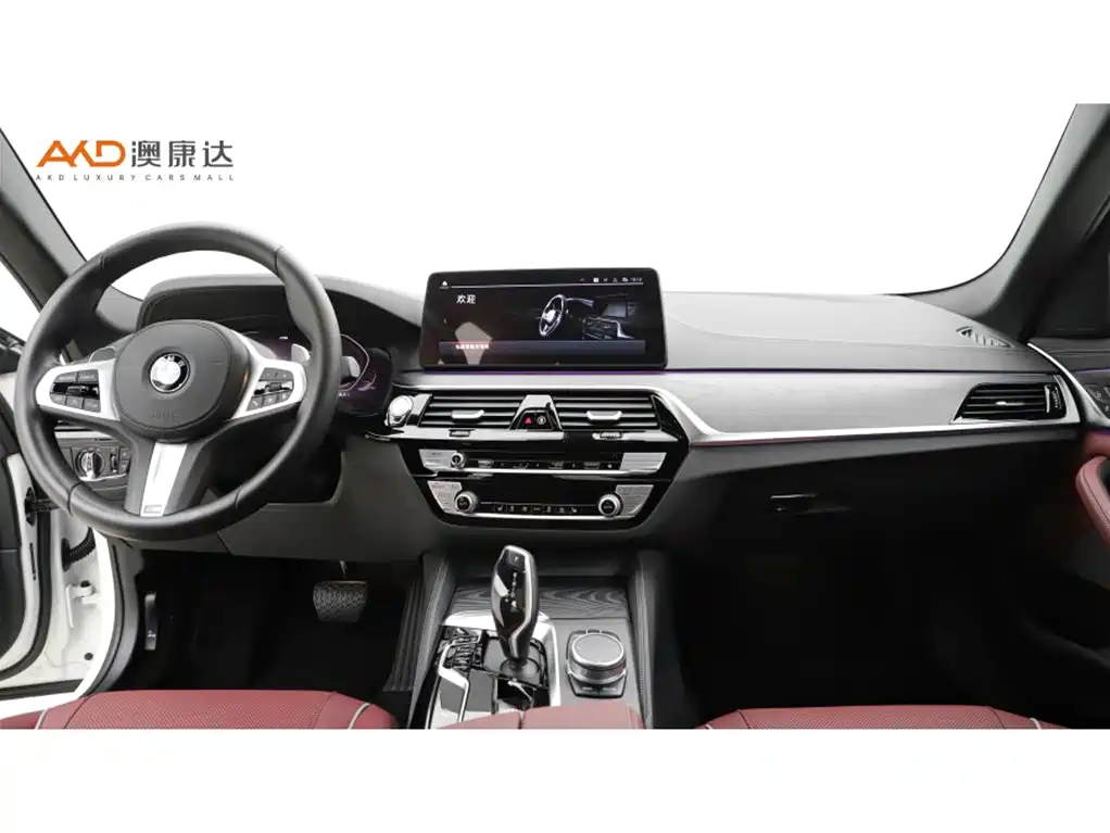 BMW 5 Series 2021 Facelift 530Li Leading M Sport Package фото 5