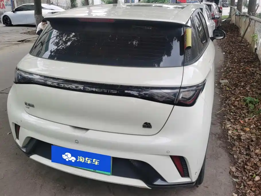 BYD Dolphin 2021 Model 405km Fashion Edition фото 3