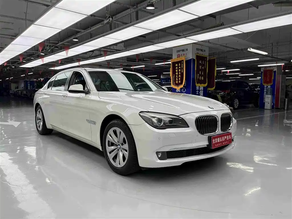 BMW 7 Series 2009 730Li Leading фото 2