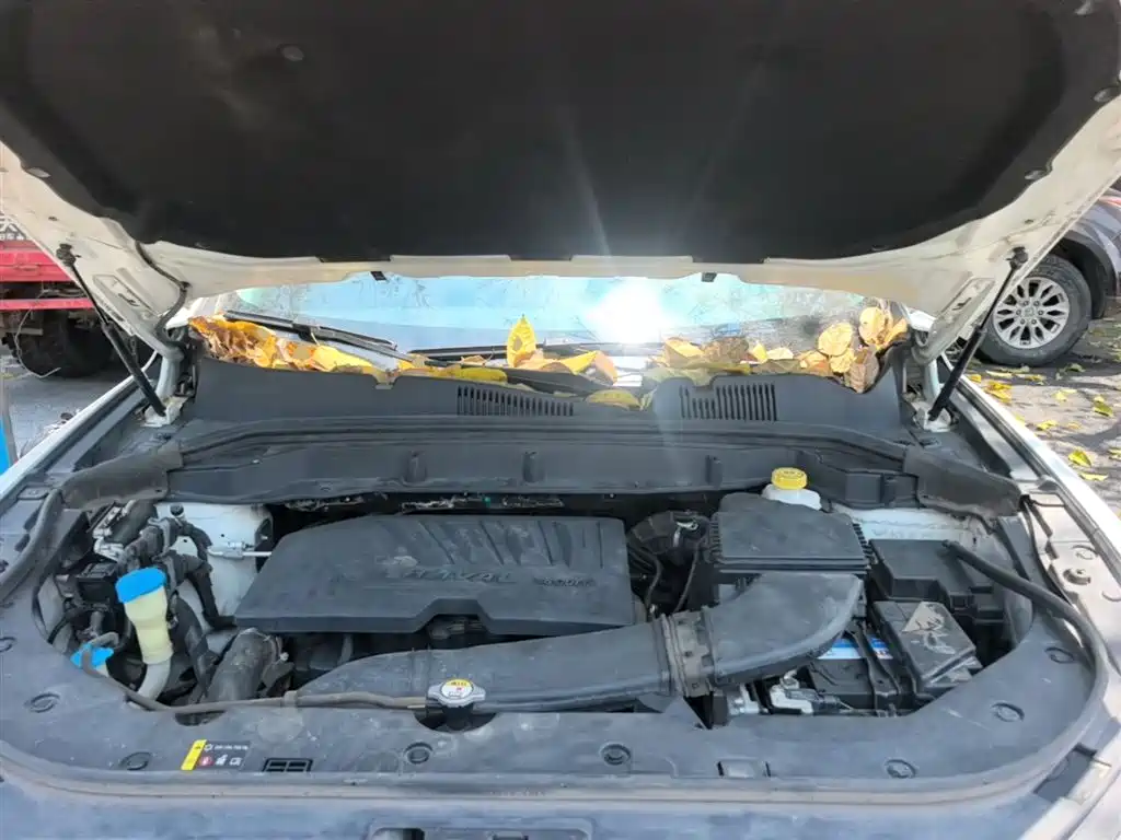 Haval F5 2018 1.5T i-Style фото 20