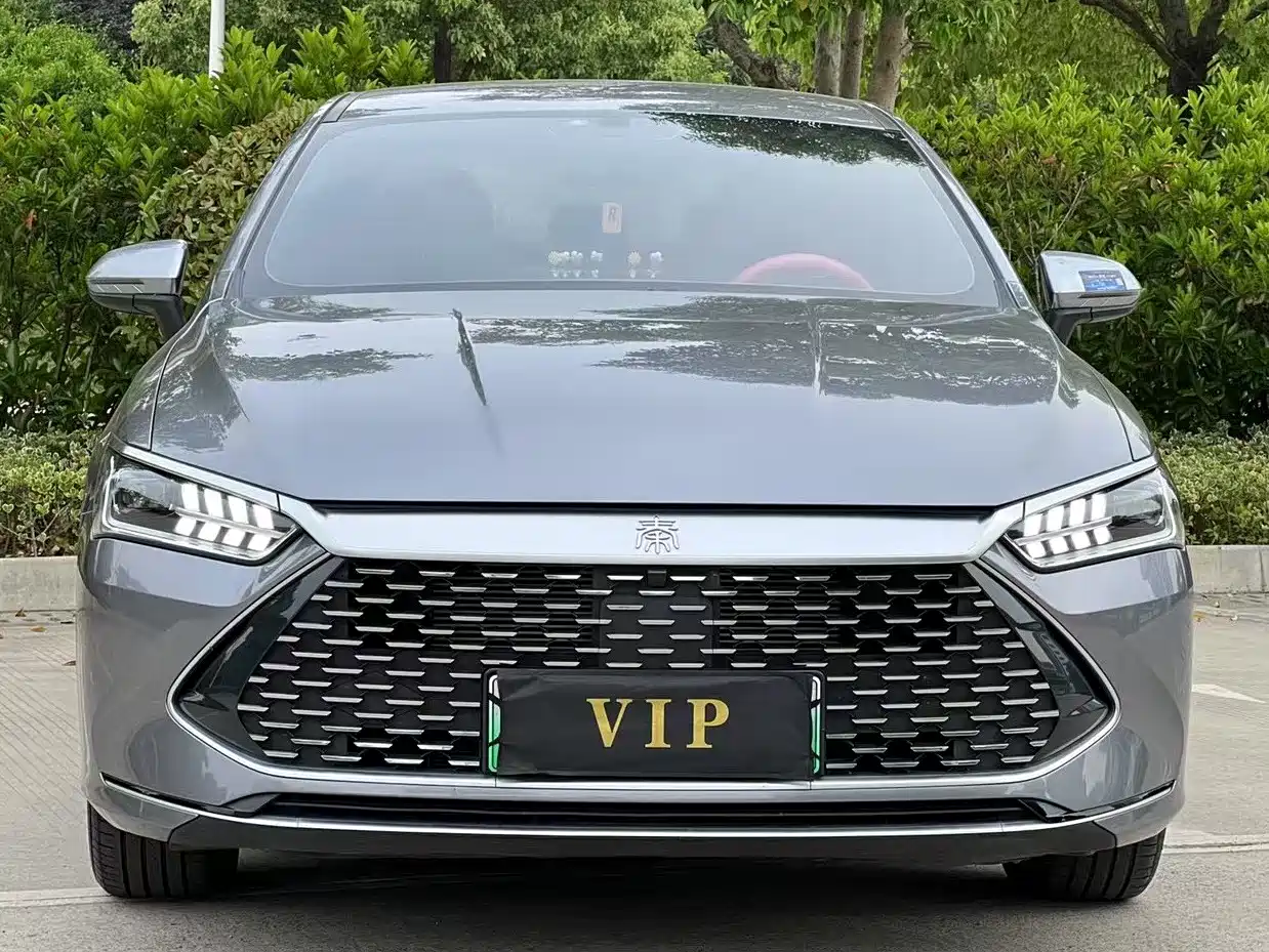 BYD Qin PLUS 2024 Glory Edition DM-i 55KM Leading