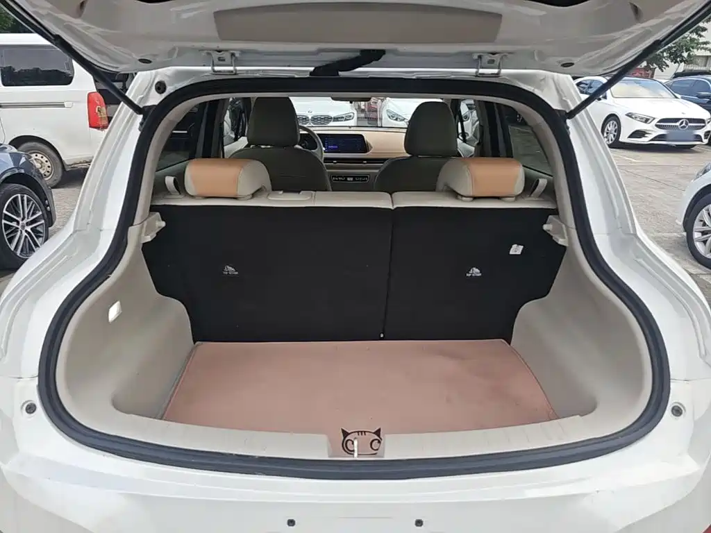 Ora Good Cat 2024 2024 401km Luxury