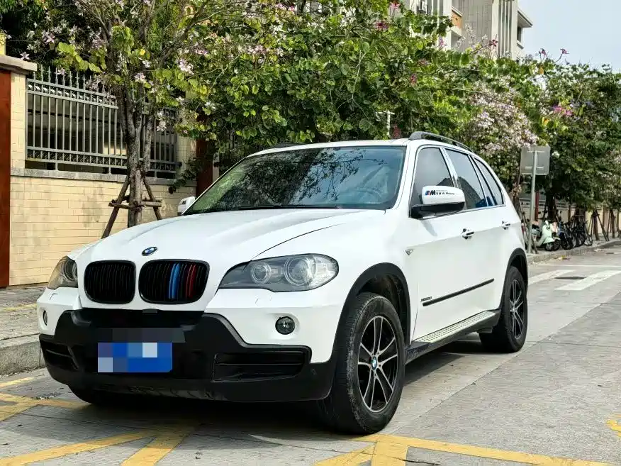 BMW X5 (Import) 2009 xDrive30i Luxury