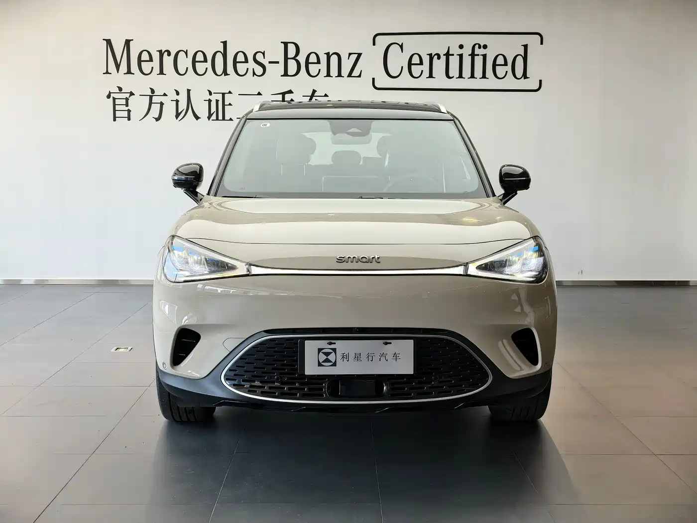 smart Elf #1 2025 2026 Agile New Luxury Edition