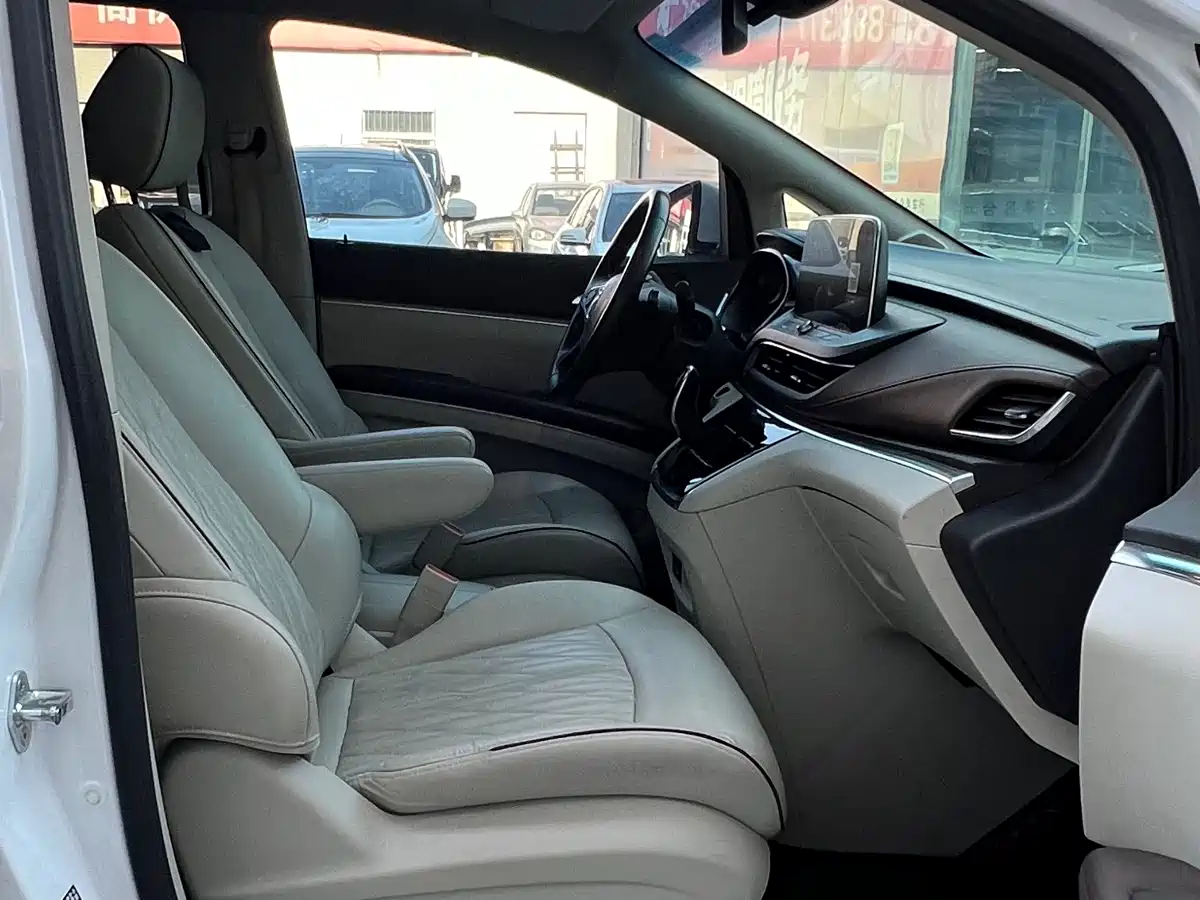 Buick GL8 2021 Land Business Class 652T Luxury фото 18
