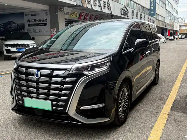 Denza D9 2024 DM-i 980 AWD Flagship