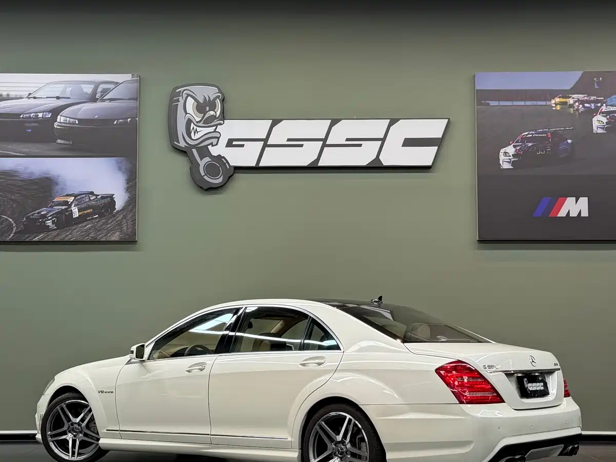 Mercedes-Benz S-Class AMG 2010 AMG S 65 фото 5
