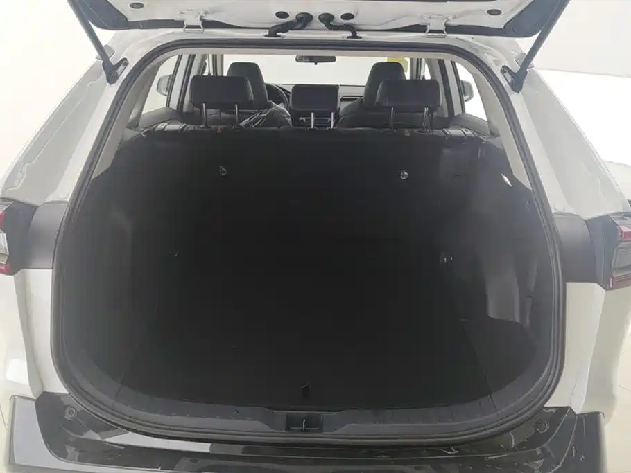 Toyota Wildlander 2024 2.0L CVT 2WD Luxury PLUS Edition фото 4