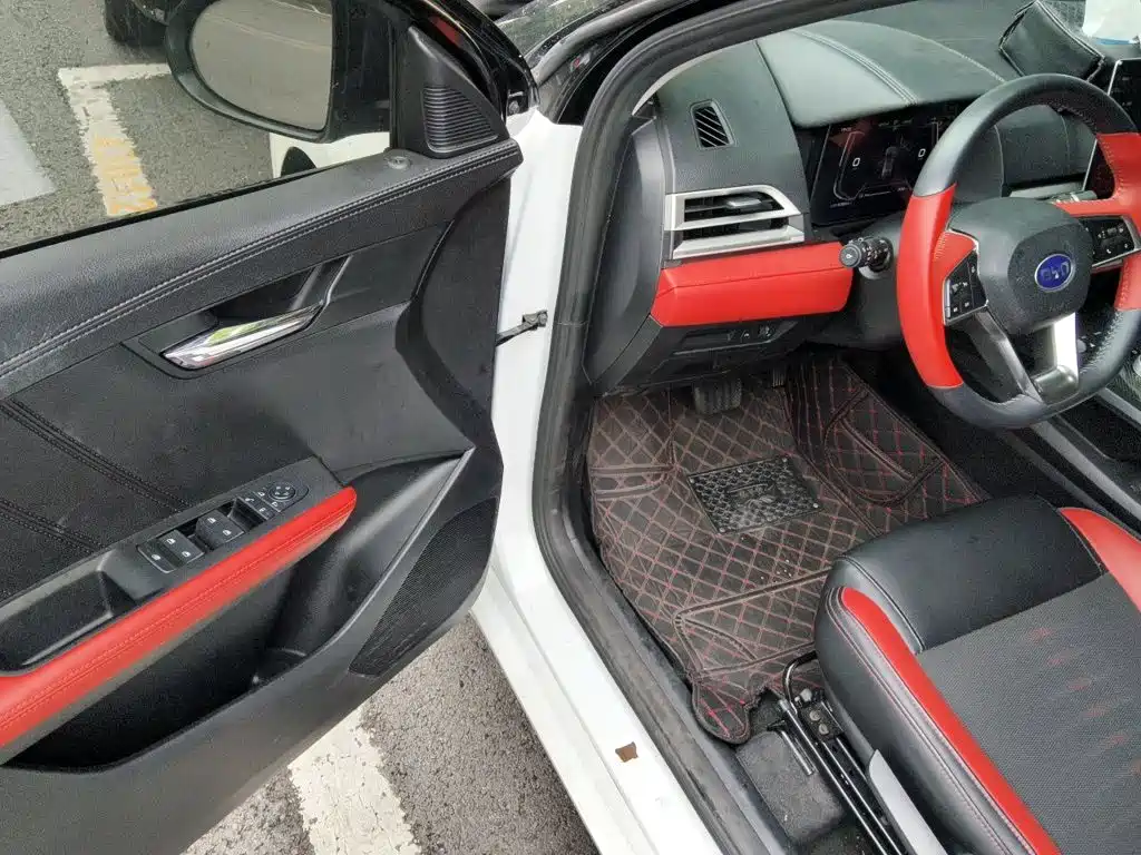 BYD e2 2020 2020 Upgraded Long Range Luxury