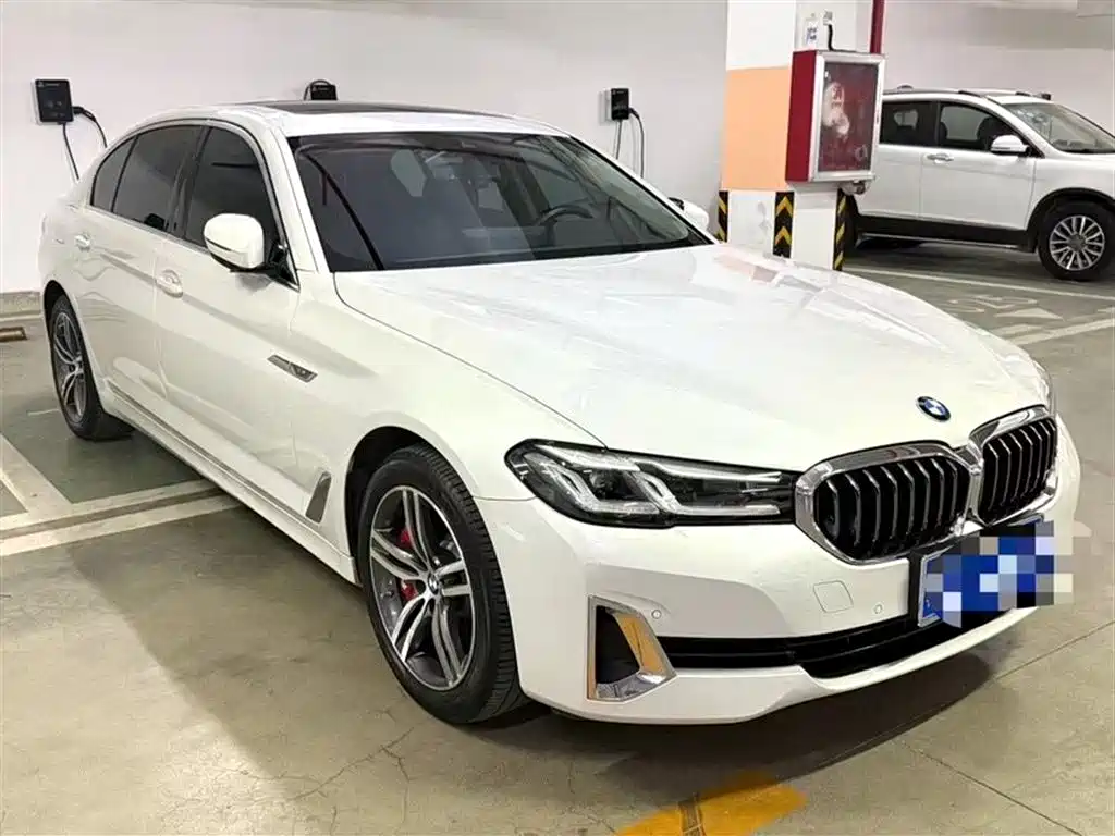 BMW 5 Series 2021 530Li xDrive Luxury Package фото 2