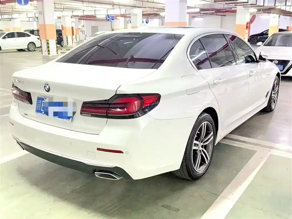 BMW 5 Series 2021 530Li xDrive Luxury Package фото 7