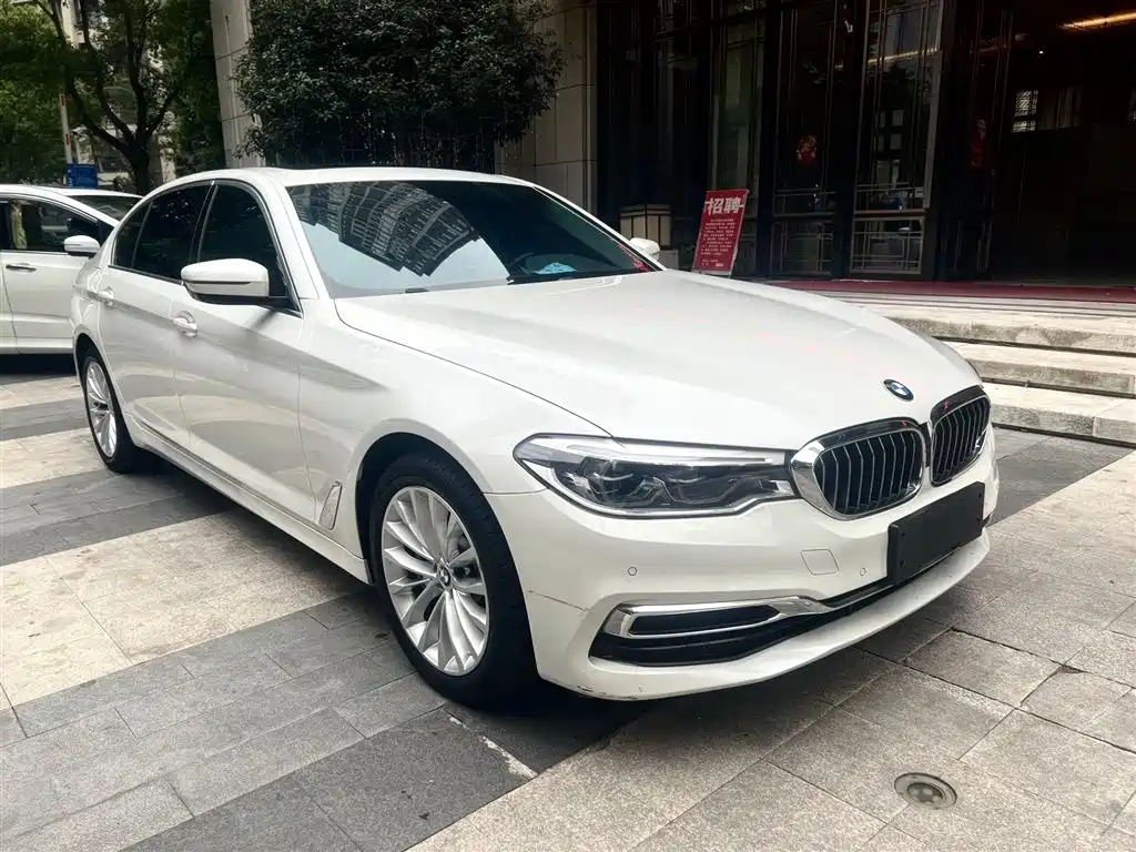 BMW 5 Series 2020 530Li Leading Luxury Package фото 3
