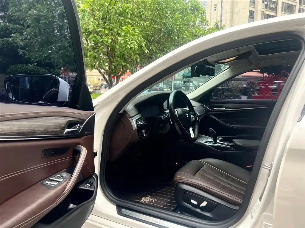 BMW 5 Series 2020 530Li Leading Luxury Package фото 7