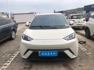 BYD Seagull