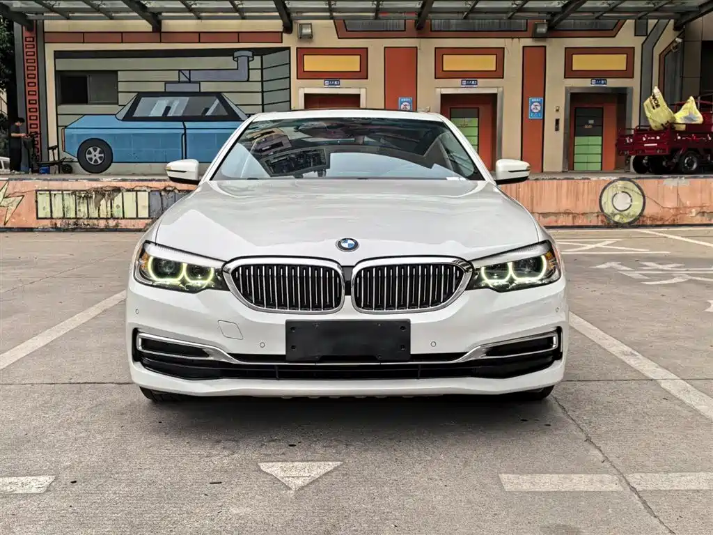 BMW 5 Series 2020 525Li Luxury Package фото 2