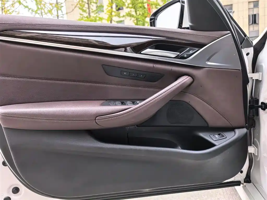 BMW 5 Series 2020 525Li Luxury Package фото 11