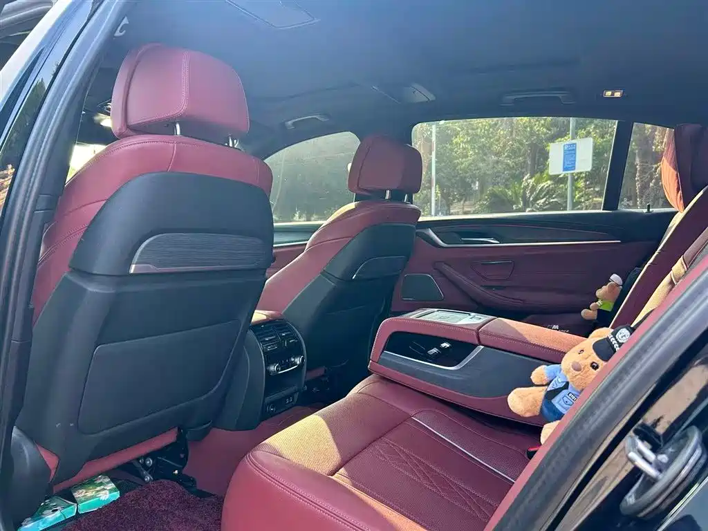 BMW 5 Series 2023 530Li Premium M Sport Package фото 5