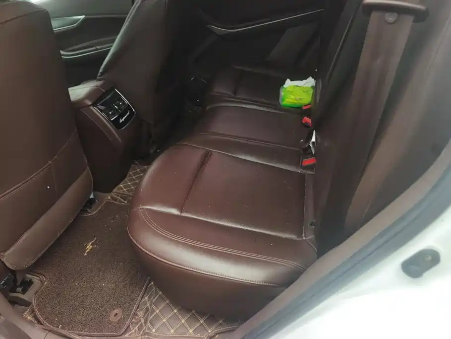 Leopaard Mattu 2020 2018 1.6T GDI DCT Luxury