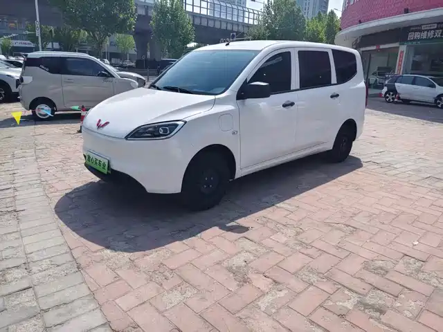  Wuling Motors Wuling Hongguang New Energy 2024 Pure Electric 300KM Standard